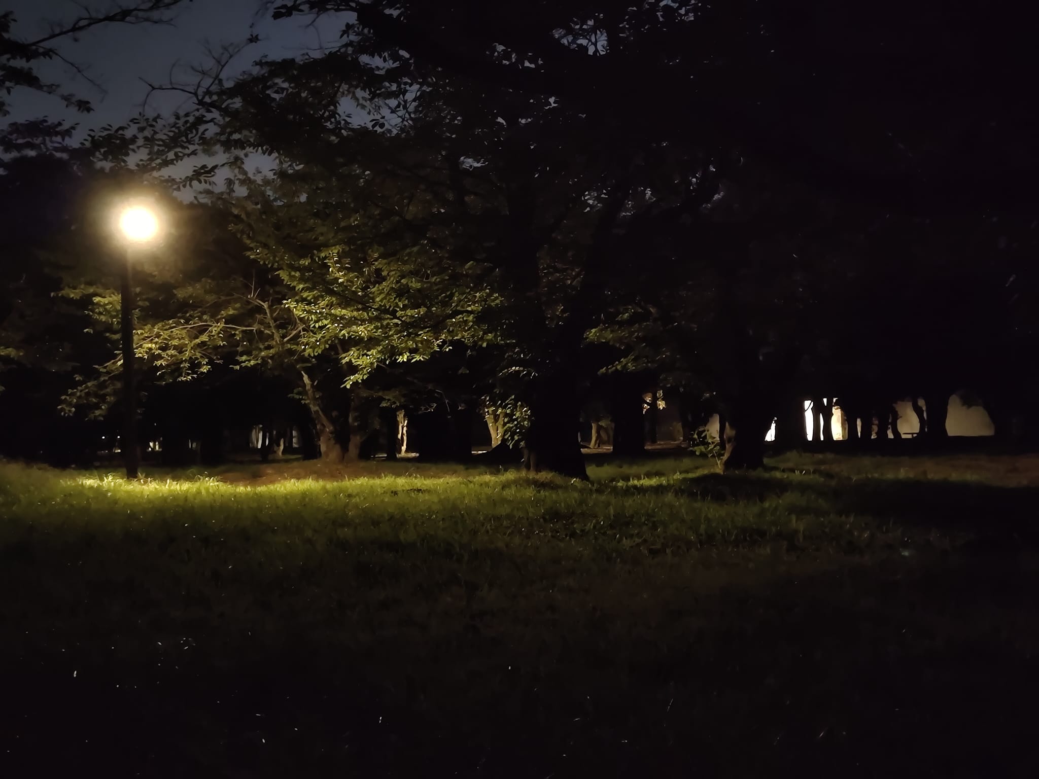 Evening Activity